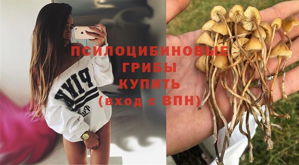 mdpv Зеленодольск