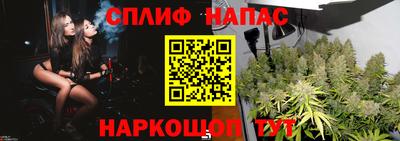сатива Конаково