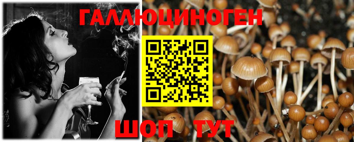 Псилоцибиновые грибы Psilocybine cubensis  дарнет шоп  Вход с VPN  Коркино  Галлюциногенные грибы MAGIC MUSHROOMS 