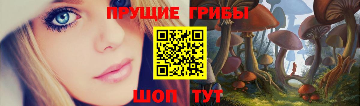 Галлюциногенные грибы GOLDEN TEACHER Коркино